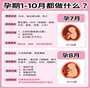 包生男孩-试管移植胎停育的症状解读,掌握怀孕知识 包生男孩-试管移植胎停育的症状解读,掌握怀孕知识